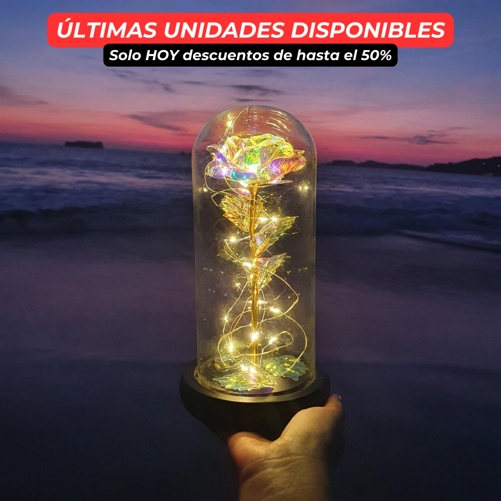 Unidad extra de Rosa Amor eterno - El regalo perfecto para San Valentín